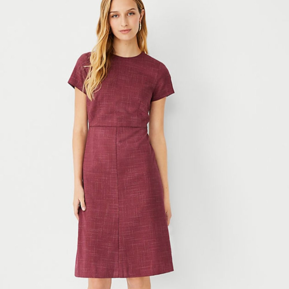 Ann Taylor Flare Dress